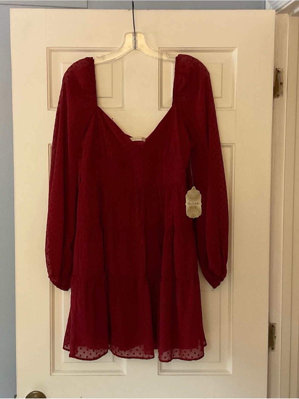 Altar'd State Serophina Dress Garnet Red Clip Dot Chiffon Mini Size L NWT